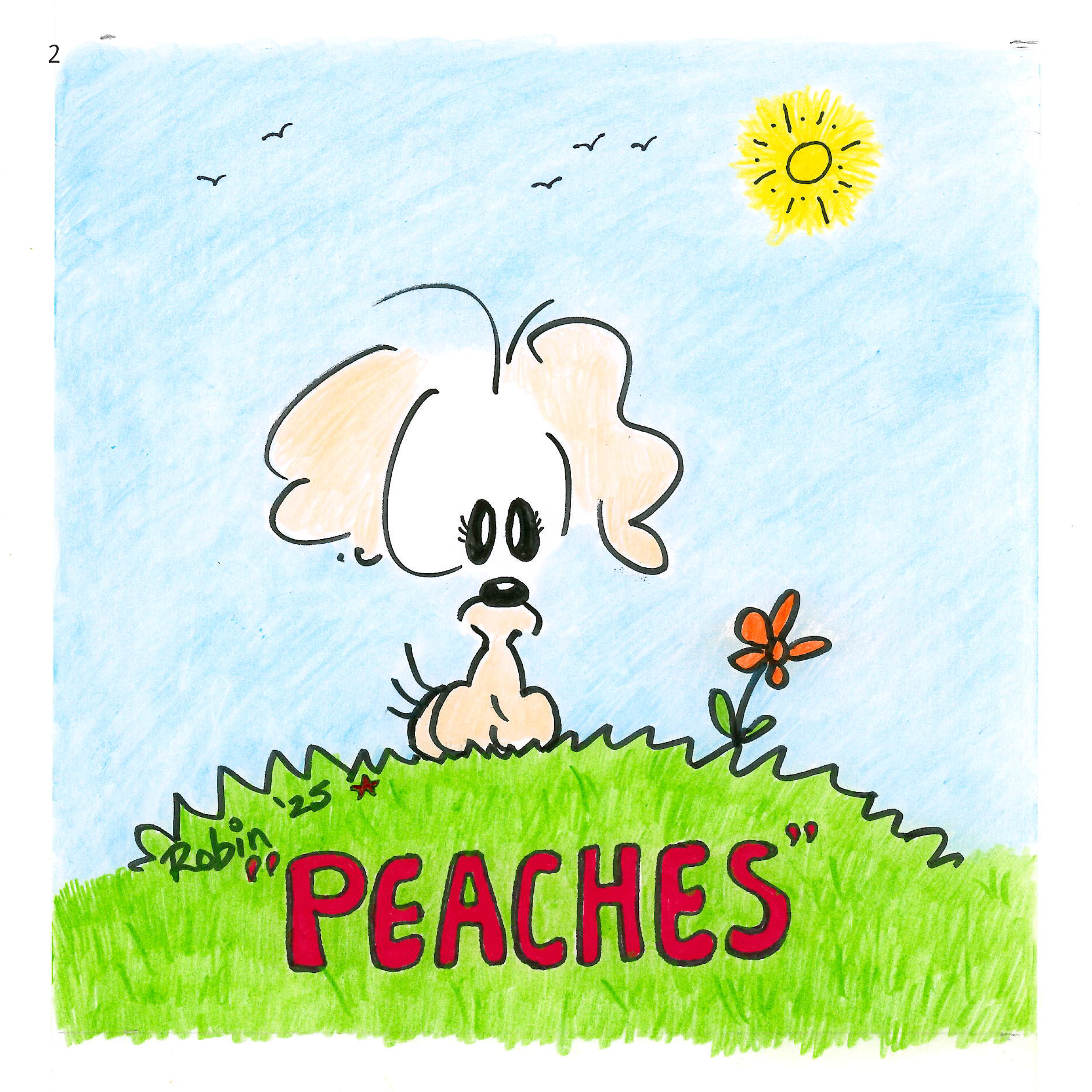 Pete & Peaches and the Starfish Club